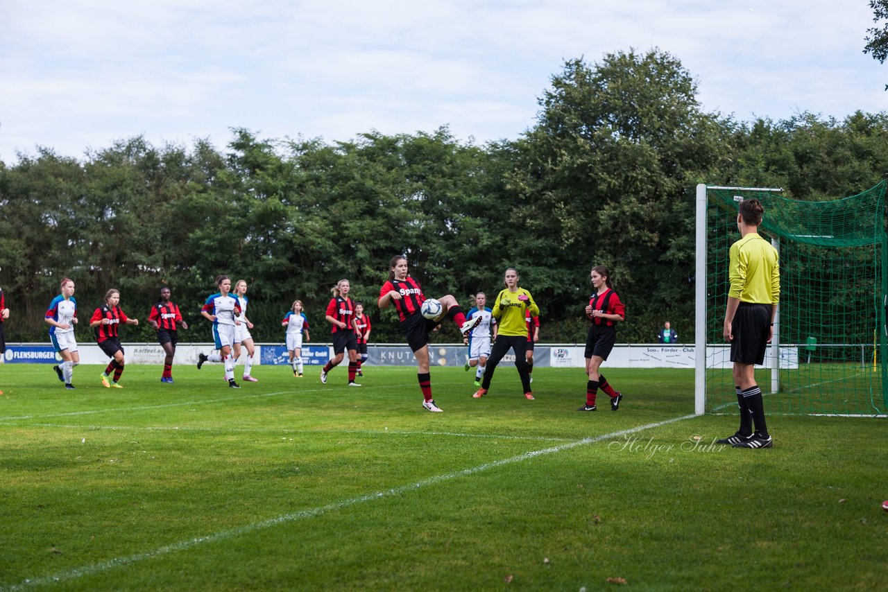 Bild 160 - B-Juniorinnen SVHU - Weststeinburg : Ergebnis: 15:0